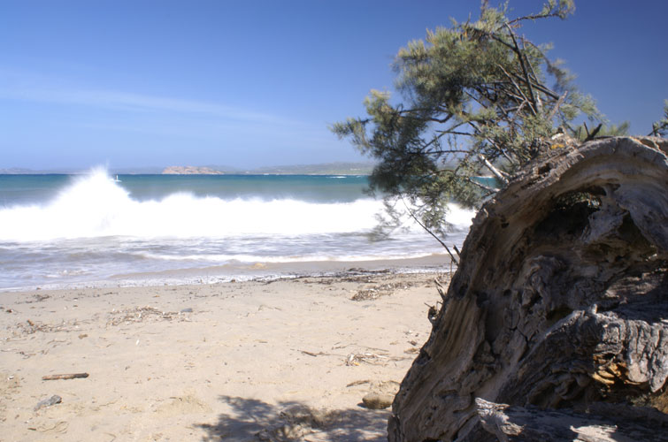 Residence Mirice Spiaggia di Vignola Mare ad Aglientu Vicino a santa Teresa in Sardegna