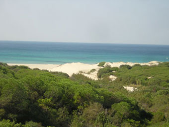affitto appartamento in villaggio in Sardegna