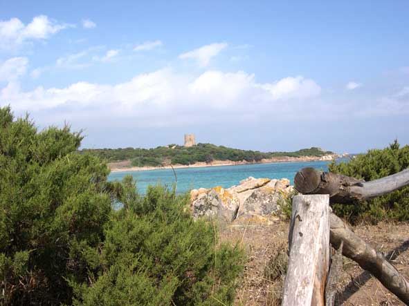 vignola mare 